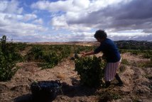 Explotaciones agrarias